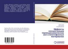 Buchcover von Эффекты концентрации термодинамических сил в многофазных материалах