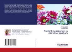 Capa do livro de Nutrient management in rice fallow sorghum 