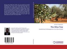 Copertina di The Olive Tree
