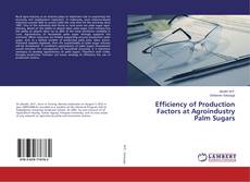 Copertina di Efficiency of Production Factors at Agroindustry Palm Sugars