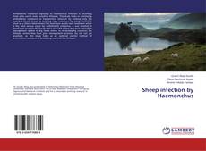 Copertina di Sheep infection by Haemonchus