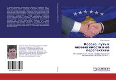 Copertina di Косово: путь к независимости и её перспективы