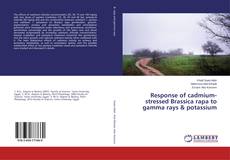 Copertina di Response of cadmium-stressed Brassica rapa to gamma rays & potassium