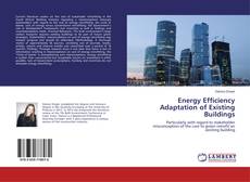 Buchcover von Energy Efficiency Adaptation of Existing Buildings
