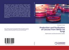 Capa do livro de Production and Purification of Laccase from White rot fungi 