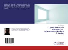 Copertina di Computability in Informetrics: Information-labyrinth Function