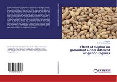 Copertina di Effect of sulphur on groundnut under different irrigation regimes