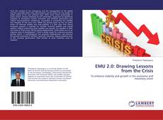 Copertina di EMU 2.0: Drawing Lessons from the Crisis