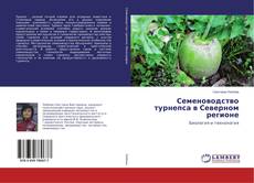 Copertina di Семеноводство турнепса в Северном регионе
