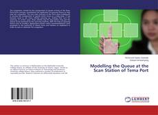 Copertina di Modelling the Queue at the Scan Station of Tema Port