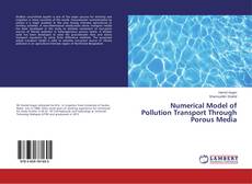 Copertina di Numerical Model of Pollution Transport Through Porous Media
