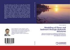 Buchcover von Modelling of Flows and Sediment through Hydraulic Structures