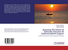 Copertina di Assessing The Extent of Saltwater Intrusion At Vadamaradchchi Lagoon