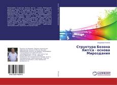 Buchcover von Структура Бозона Хиггса - основа Мироздания