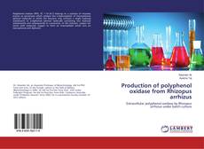 Capa do livro de Production of polyphenol oxidase from Rhizopus arrhizus 