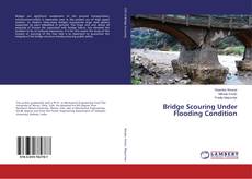 Buchcover von Bridge Scouring Under Flooding Condition