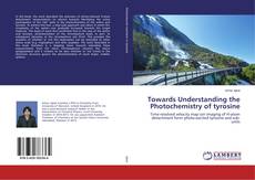 Buchcover von Towards Understanding the Photochemistry of tyrosine