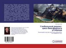 Bookcover of Глобальный редокс-цикл биосферного углерода