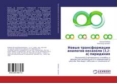Copertina di Новые трансформации аналогов оксазоло[3,2-а] пиридиния