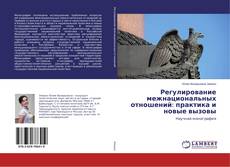 Регулирование межнациональных отношений: практика и новые вызовы kitap kapağı