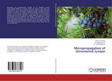 Buchcover von Micropropagation of Ornamental Juniper