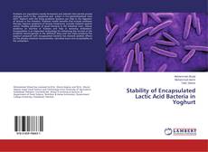 Buchcover von Stability of Encapsulated Lactic Acid Bacteria in Yoghurt