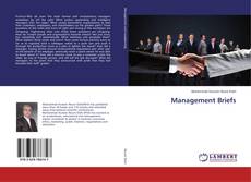 Buchcover von Management Briefs
