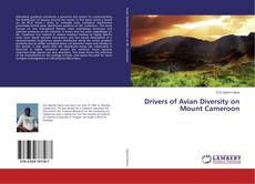 Copertina di Drivers of Avian Diversity on Mount Cameroon