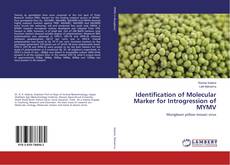 Copertina di Identification of Molecular Marker for Introgression of MYMV