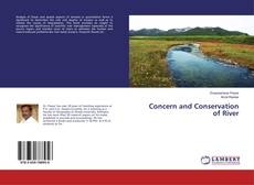 Buchcover von Concern and Conservation of River