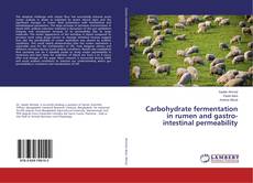 Copertina di Carbohydrate fermentation in rumen and gastro-intestinal permeability