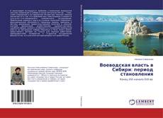 Copertina di Воеводская власть в Сибири: период становления
