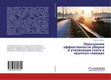 Copertina di Повышение эффективности уборки и утилизации снега в крупных городах