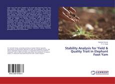 Copertina di Stability Analysis for Yield & Quality Trait in Elephant Foot Yam