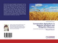 Buchcover von Conservation Agriculture: A Nigerian Synthesis and Mitigation Measures