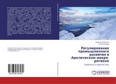 Buchcover von Регулирование промышленного развития в Арктическом макро-регионе