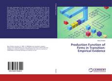 Production Function of Firms in Transition: Empirical Evidence的封面