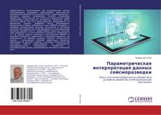 Buchcover von Параметрическая интерпретация данных сейсморазведки