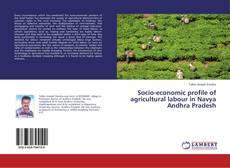 Copertina di Socio-economic profile of agricultural labour in Navya Andhra Pradesh