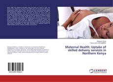 Buchcover von Maternal Health: Uptake of skilled delivery services in Northern Kenya