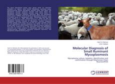 Copertina di Molecular Diagnosis of Small Ruminant Mycoplasmosis