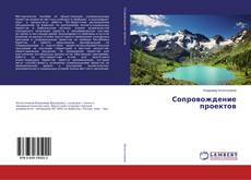 Buchcover von Сопровождение проектов