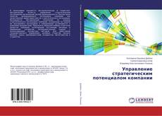 Bookcover of Управление стратегическим потенциалом компании