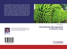 Buchcover von Post Harvest Management in Banana Crop