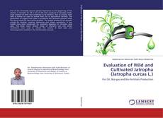 Buchcover von Evaluation of Wild and Cultivated Jatropha (Jatropha curcas L.)