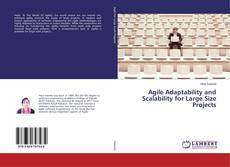Copertina di Agile Adaptability and Scalability for Large Size Projects