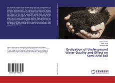 Buchcover von Evaluation of Underground Water Quality and Effect on Semi-Arid Soil