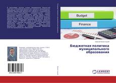 Buchcover von Бюджетная политика муниципального образования