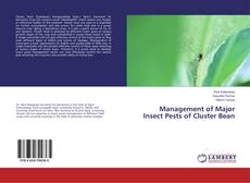 Buchcover von Management of Major Insect Pests of Cluster Bean