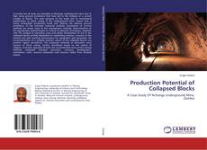 Bookcover of Production Potential of Collapsed Blocks